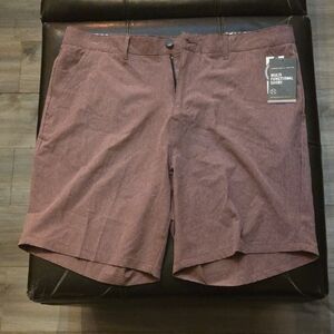 Men's Tan Flat Front Shorts